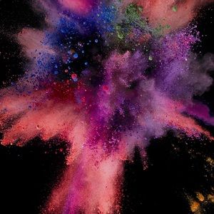 Meet your Posher, Sandy